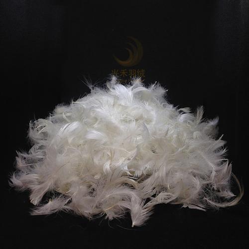 佛山2020最新羽絨,羽毛紡織價格_廠家_供應_批發(fā)_圖片_品牌-佛山企業(yè)