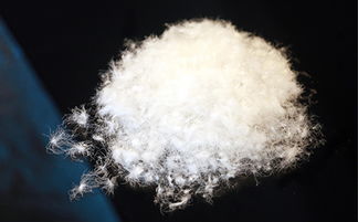 上海羽絨加工廠 專業(yè)羽絨制品的供應(yīng)商 安徽鴻暖